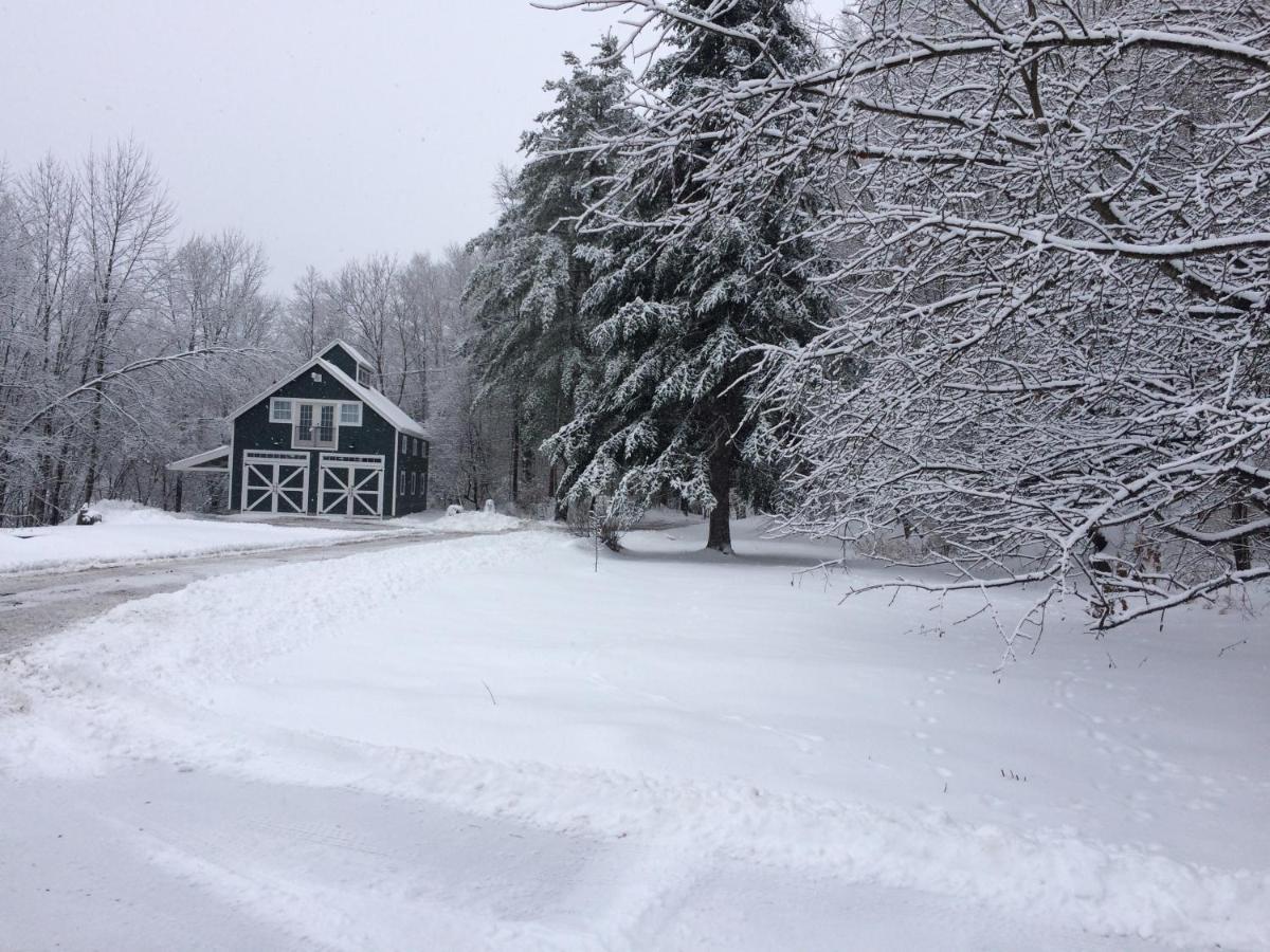 Bed and Breakfast The Birch Grove Woodstock Exterior foto